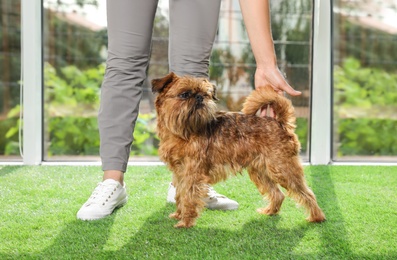 Photo of Young woman and cute Brussels Griffon dog indoors. Champion training
