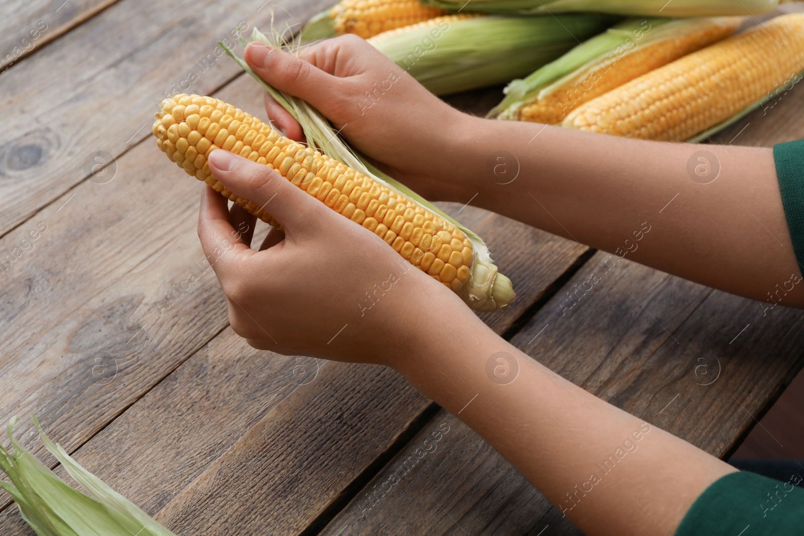 Photo of Woman husking corn cob at wooden table, closeup