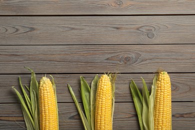 Tasty sweet corn cobs on wooden table, flat lay. Space for text