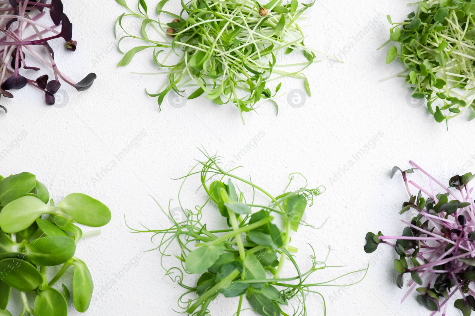 Photo of Different microgreens on white background, top view