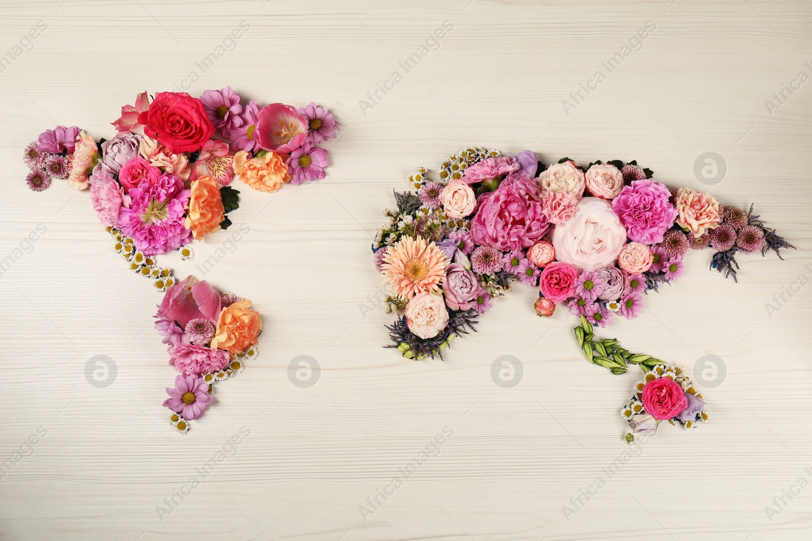 Photo of World map made of different beautiful flowers on light wooden table, flat lay