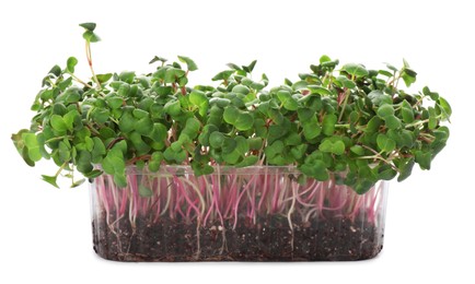 Photo of Fresh radish microgreens in plastic container on white background