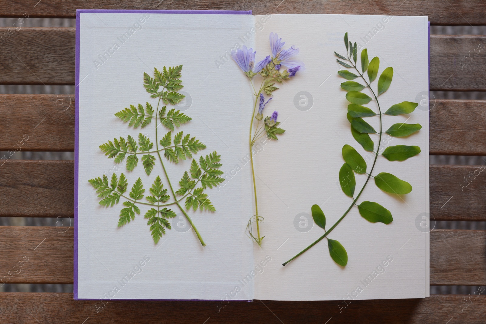 Photo of Book with dried flowers and leaves on wooden table, top view