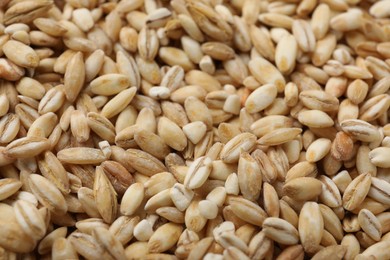Photo of Dry pearl barley as background, closeup view