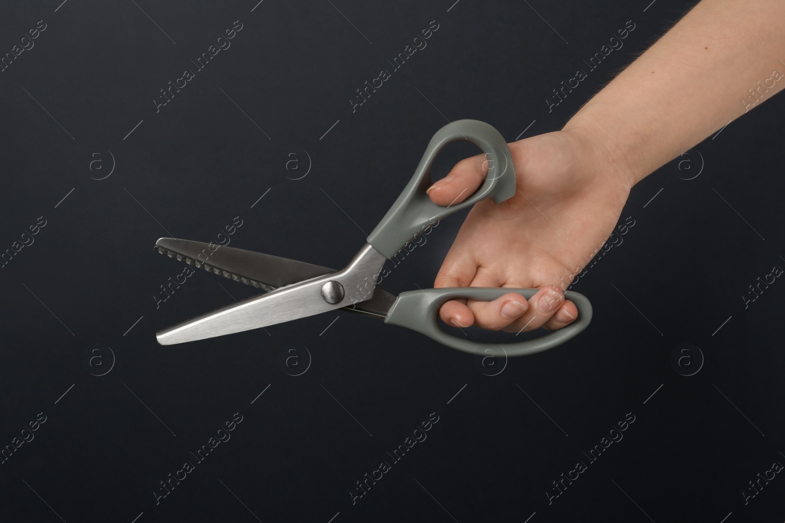 Photo of Woman holding sewing scissors on black background, closeup