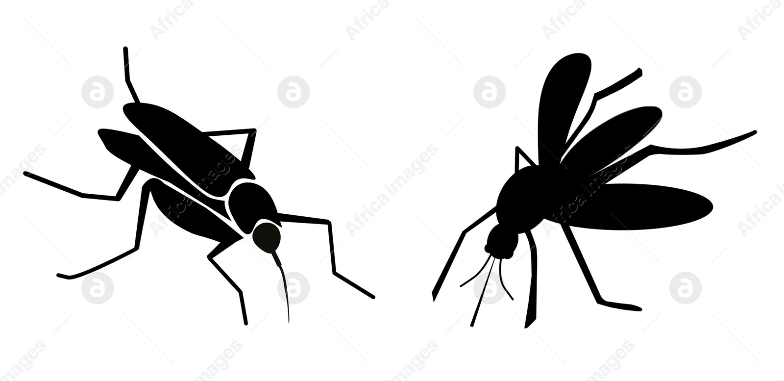 Image of Black mosquitoes on white background, banner design. Illustration