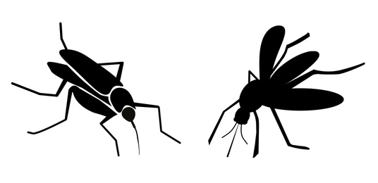 Image of Black mosquitoes on white background, banner design. Illustration