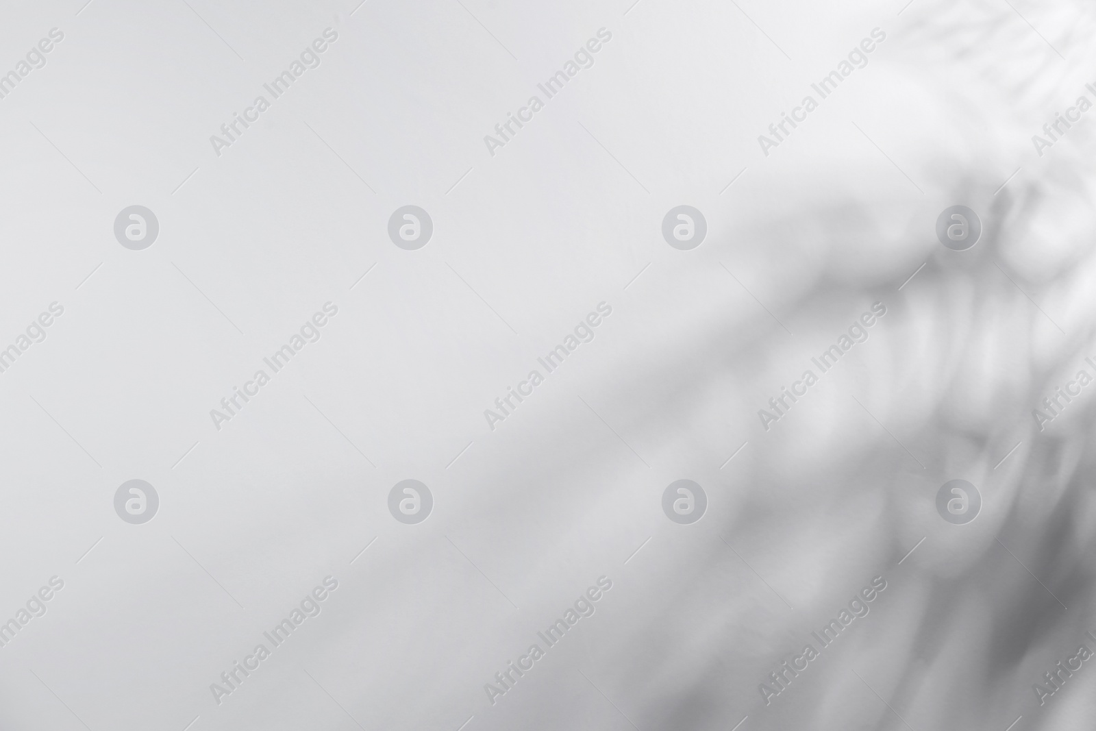 Photo of Light and shadows on white wall, space for text