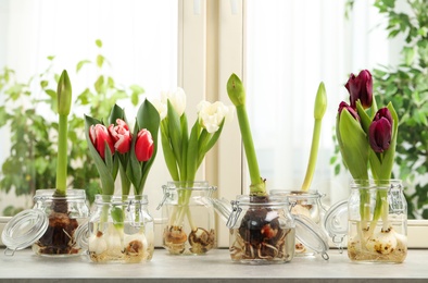 Photo of Different beautiful spring flowers in glassware on window sill