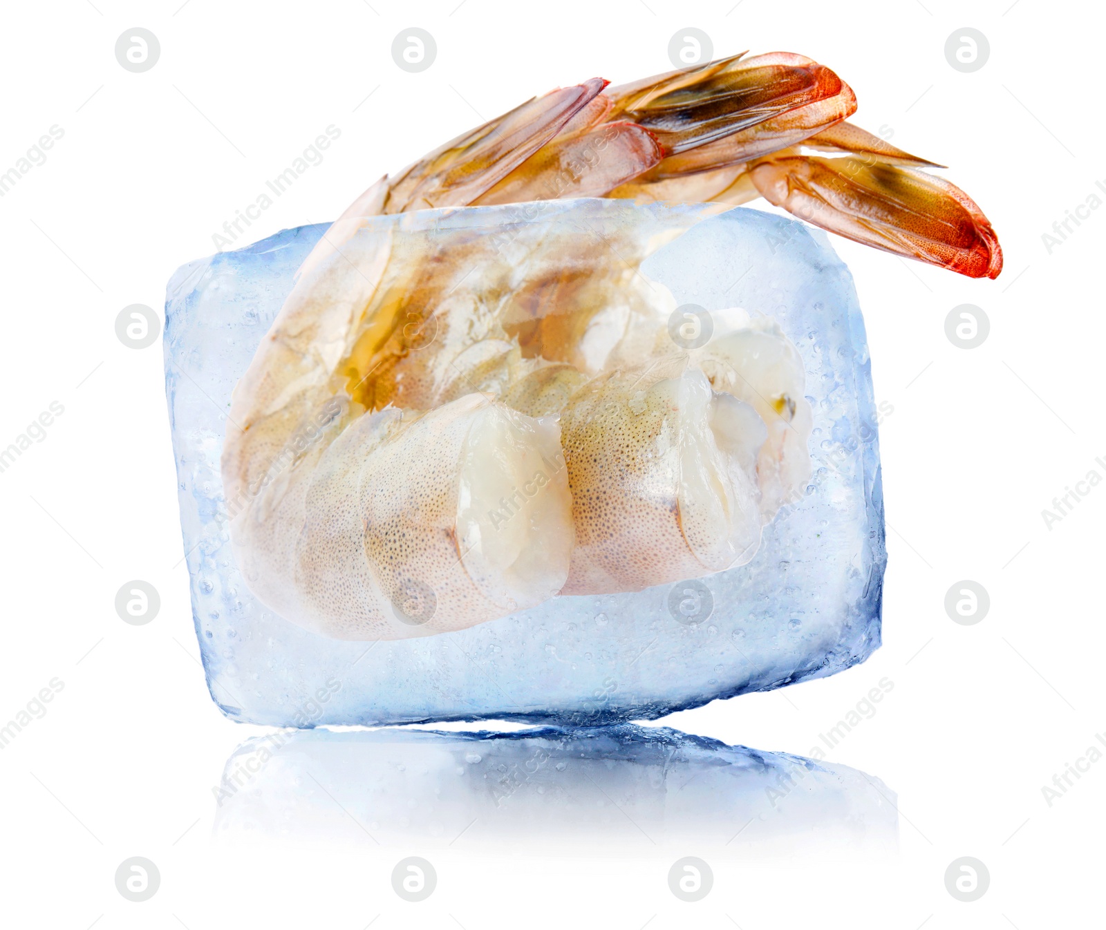 Image of Frozen food. Raw shrimps in ice cube isolated on white