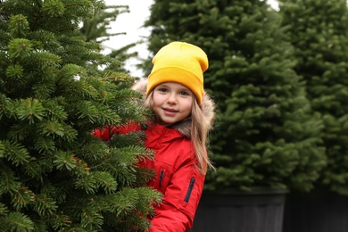 Photo of Little girl among plants at Christmas tree market