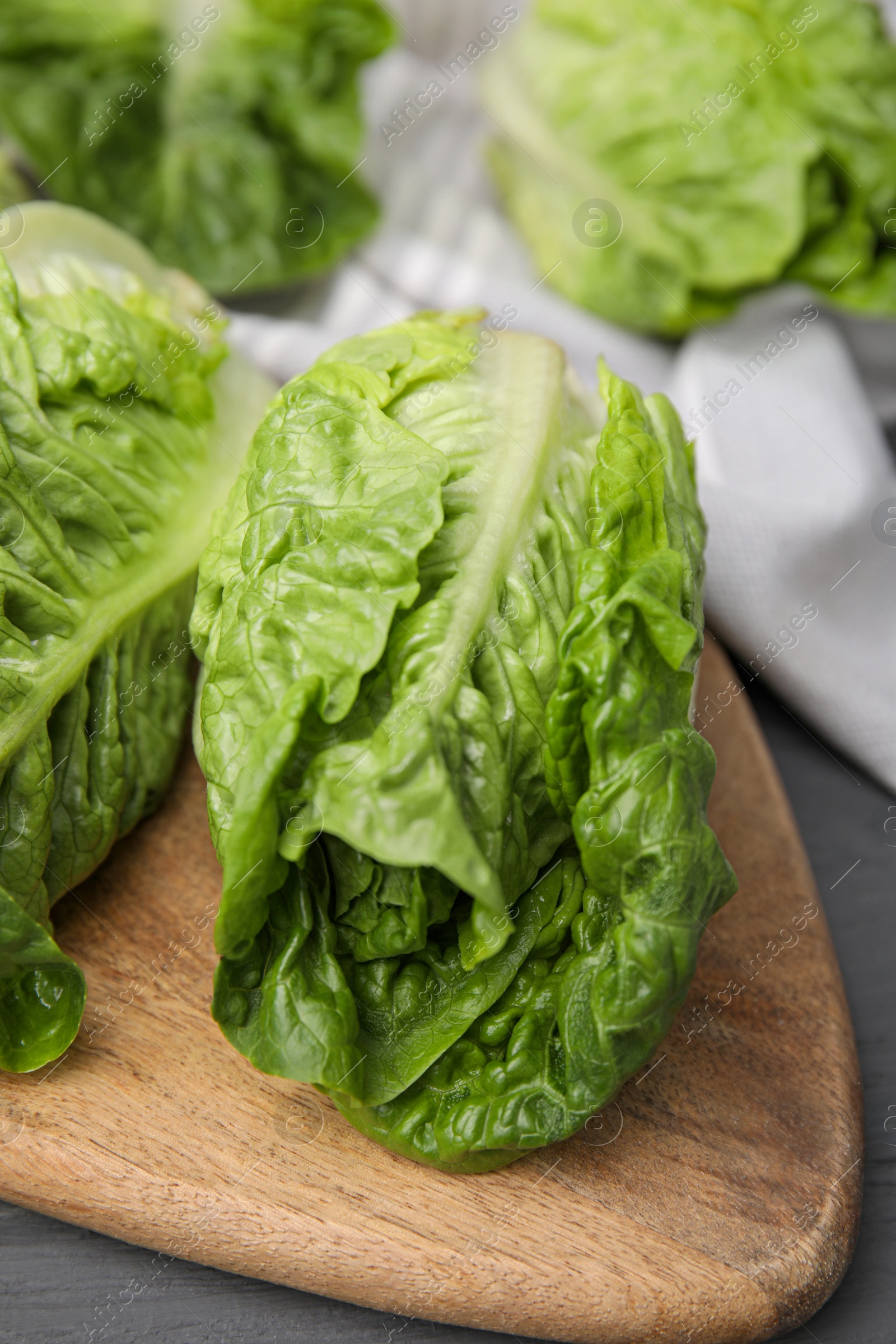 Photo of Fresh green romaine lettuces on grey wooden table, closeup