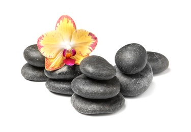 Photo of Spa stones with orchid flower on white background