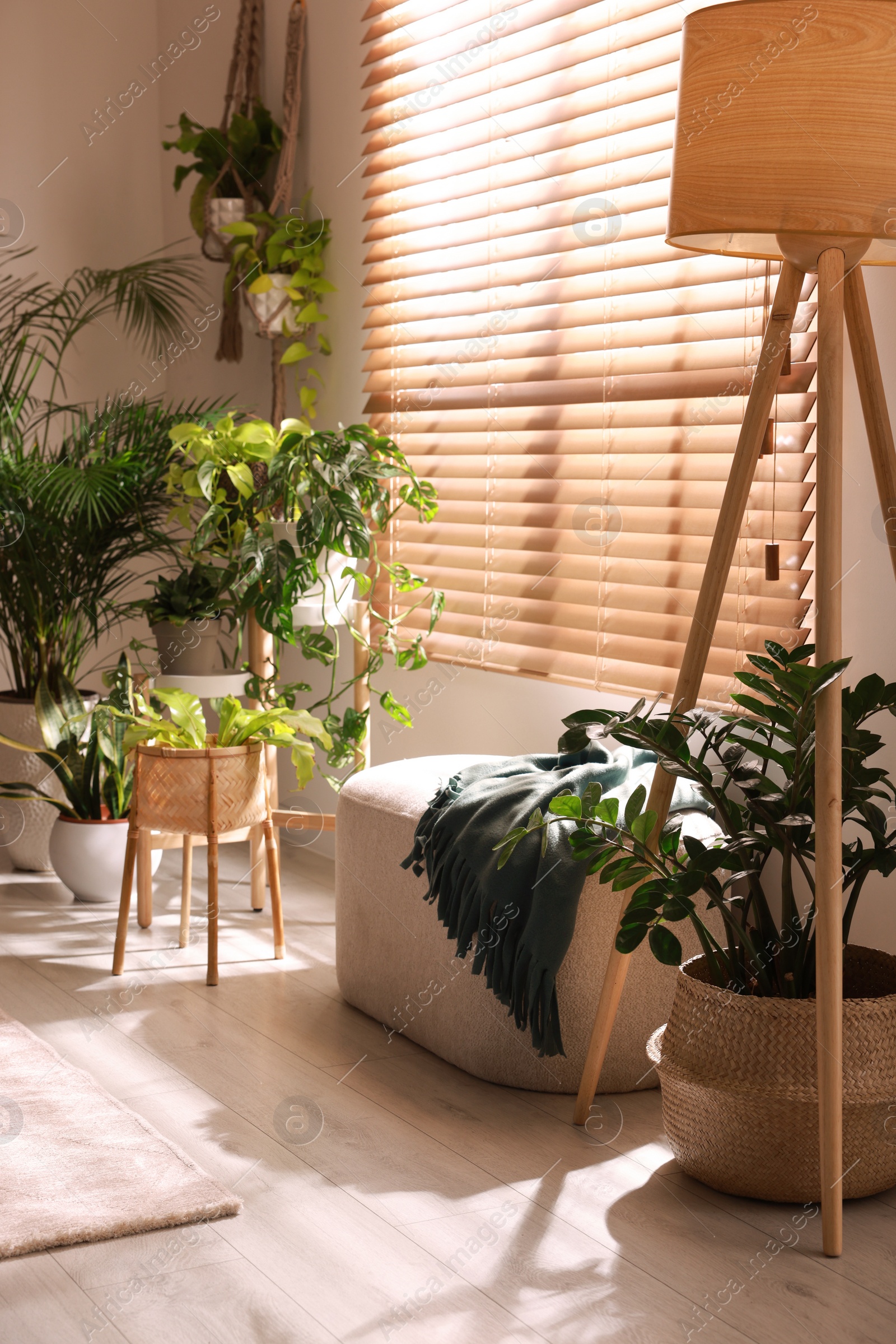 Photo of Cozy room interior with stylish furniture and beautiful houseplants near window