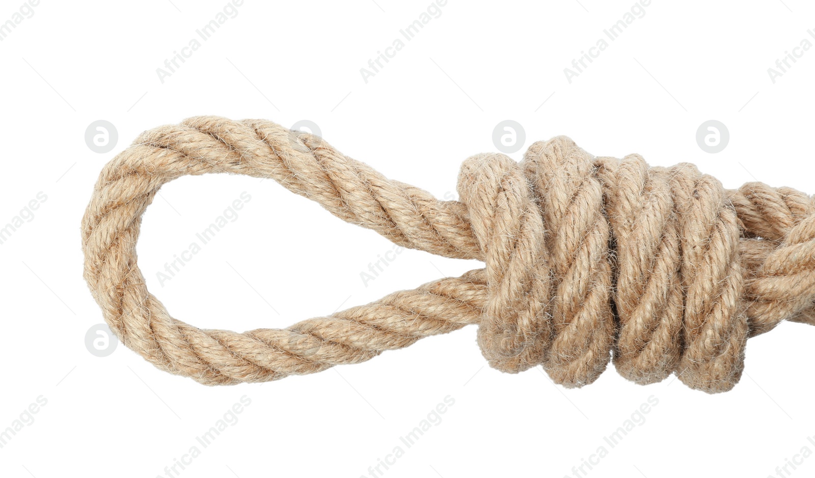 Photo of Hemp rope with loop isolated on white, top view