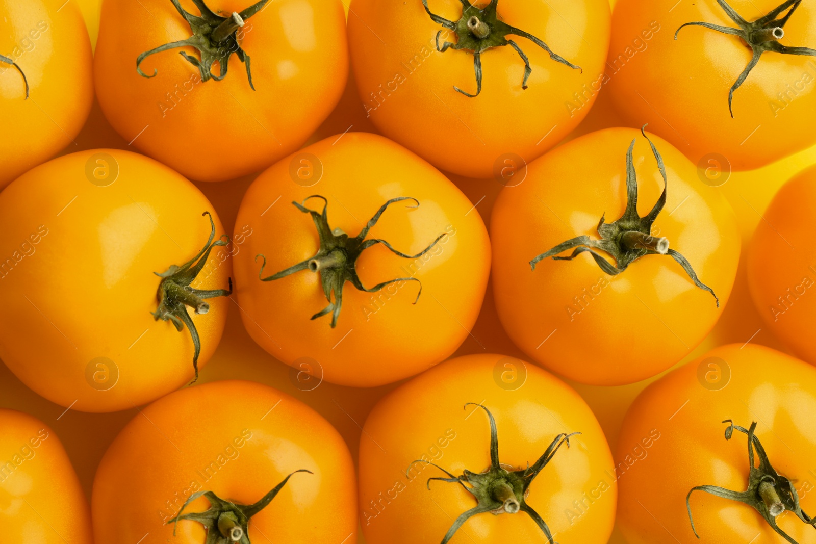 Photo of Many ripe yellow tomatoes as background, closeup