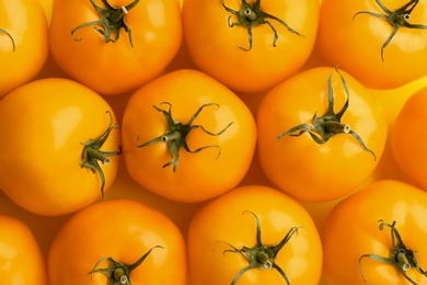 Photo of Many ripe yellow tomatoes as background, closeup