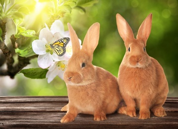 Adorable Easter bunnies on wooden surface outdoors