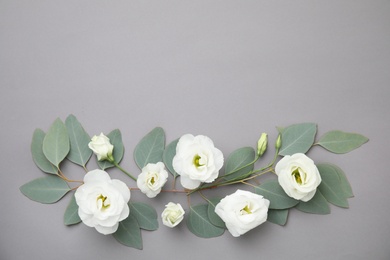 Photo of Eucalyptus branches with fresh green leaves and flowers on gray background. Flat lay composition with space for design