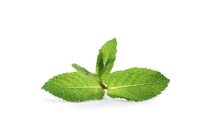 Photo of Fresh green mint leaves on white background