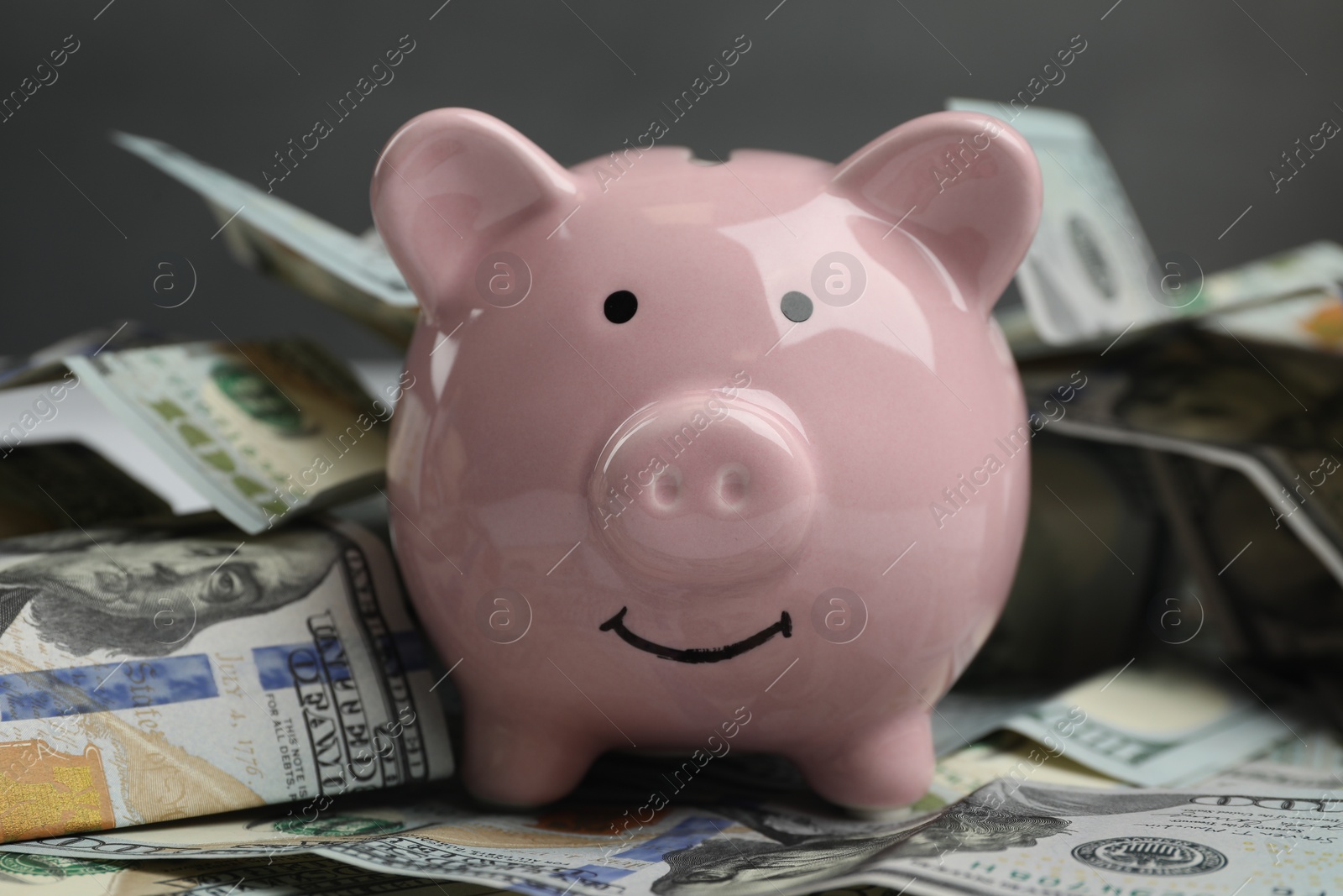 Photo of Money exchange. Dollar banknotes and piggy bank on gray background, closeup