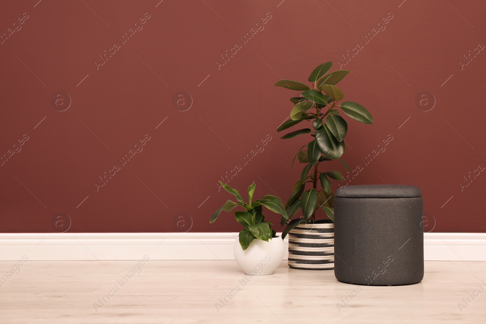 Photo of Stylish black ottoman and potted plants near brown wall indoors. Space for text