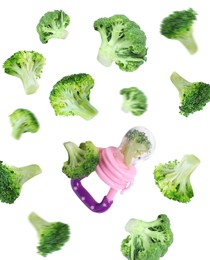 Image of Nibbler and  green broccoli falling on white background. Baby feeder