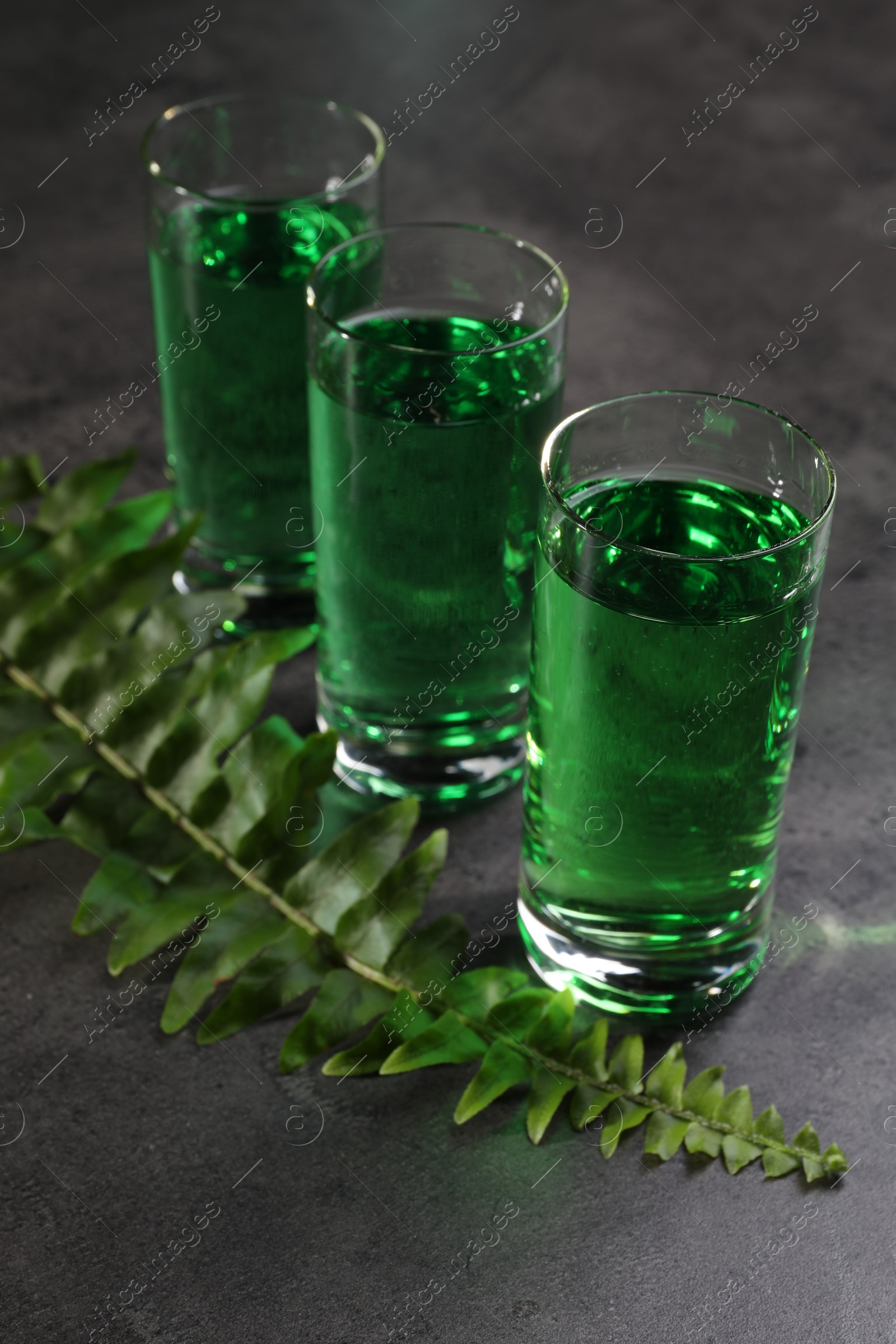 Photo of Absinthe in shot glasses and fern leaf on gray table, closeup. Alcoholic drink