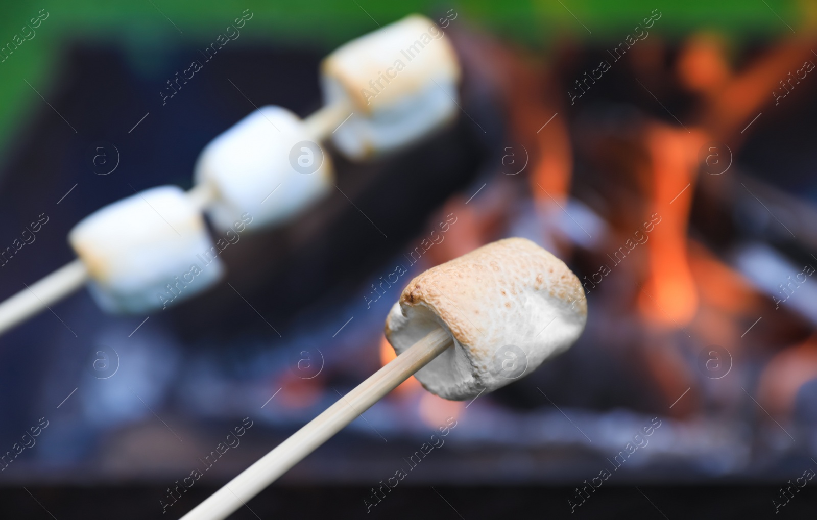 Photo of Delicious puffy marshmallows roasting over bonfire, closeup