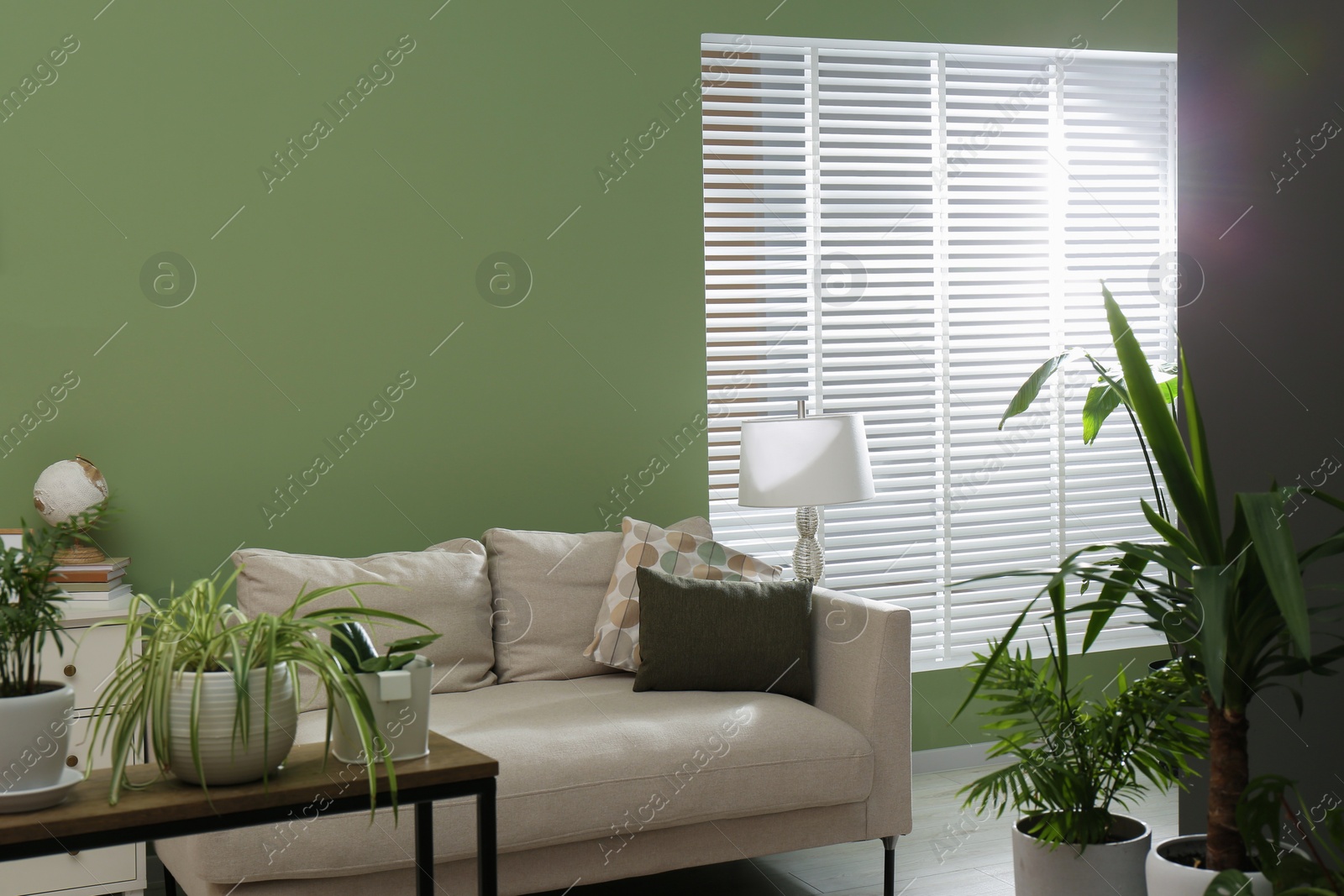 Photo of Comfortable sofa, houseplants and chest of drawers in cozy room. Interior design