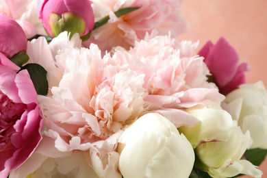 Photo of Beautiful peony bouquet on pink background, closeup