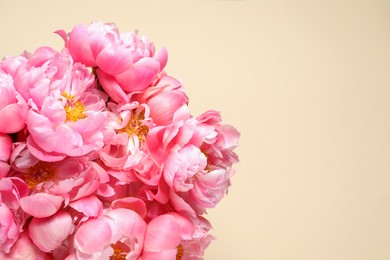 Photo of Bunch of beautiful peonies on beige background, top view. Space for text