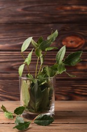 Photo of Aromatic fresh bay leaves in glass on wooden table