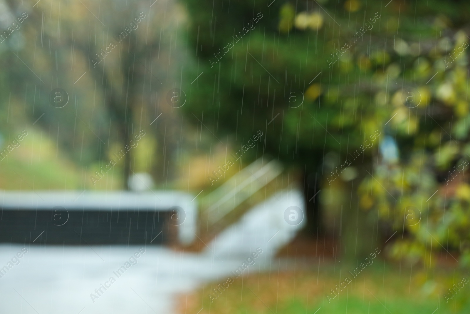 Photo of Blurred view of autumn park on rainy day