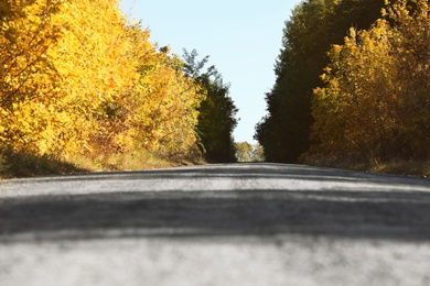 Photo of Beautiful view of country road and autumn forest