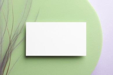 Photo of Empty business card, decorative podium and plant on white background, top view. Mockup for design