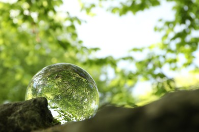 Photo of Beautiful green trees outdoors, overturned reflection. Crystal ball on stone in forest. Space for text