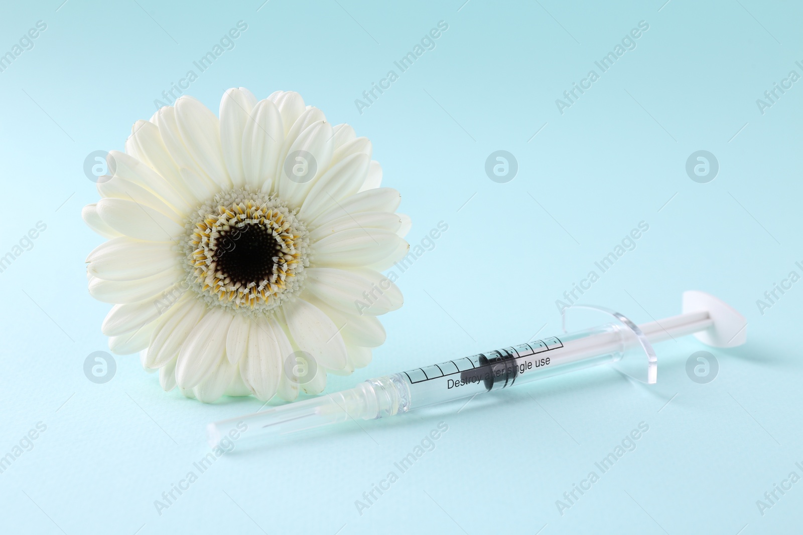 Photo of Cosmetology. Medical syringe and gerbera flower on light blue background