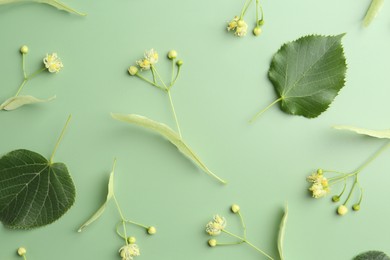 Photo of Beautiful linden blossoms and leaves on green background, flat lay