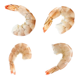 Collage of raw shrimps on white background