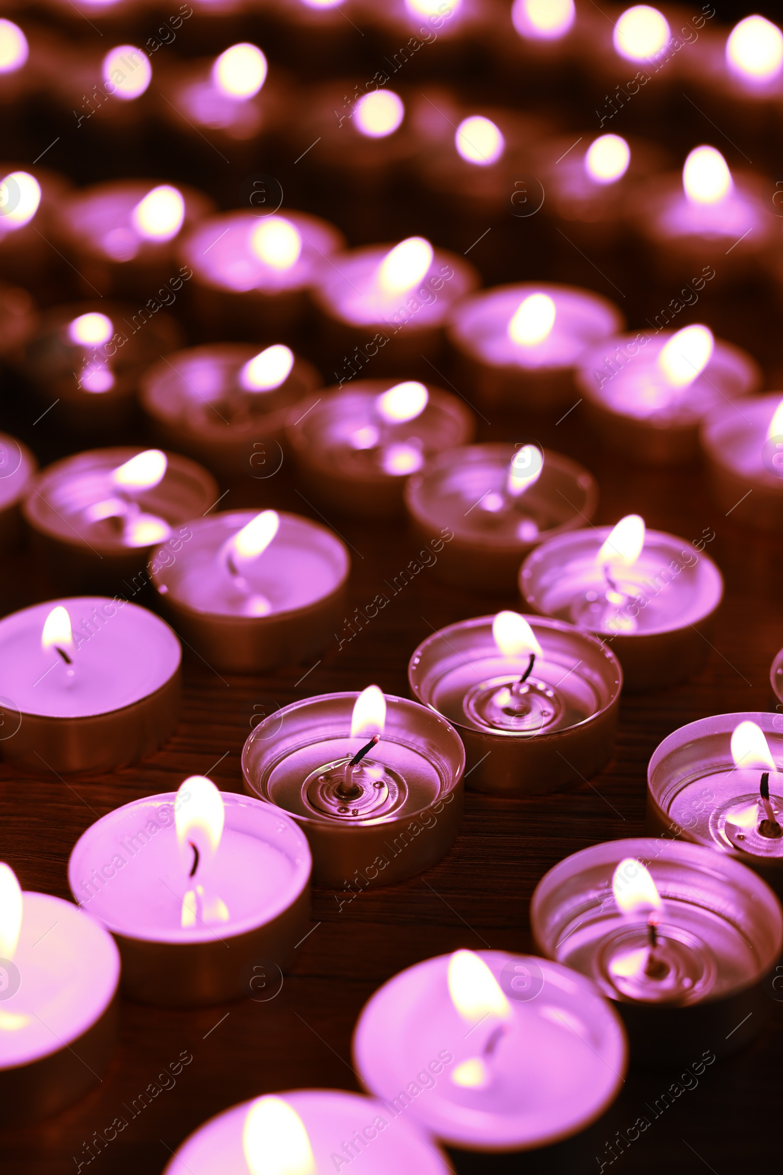 Image of Beautiful burning violet candles on black background. Funeral attributes