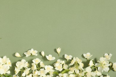 Photo of Beautiful jasmine flowers on pale green background, flat lay. Space for text