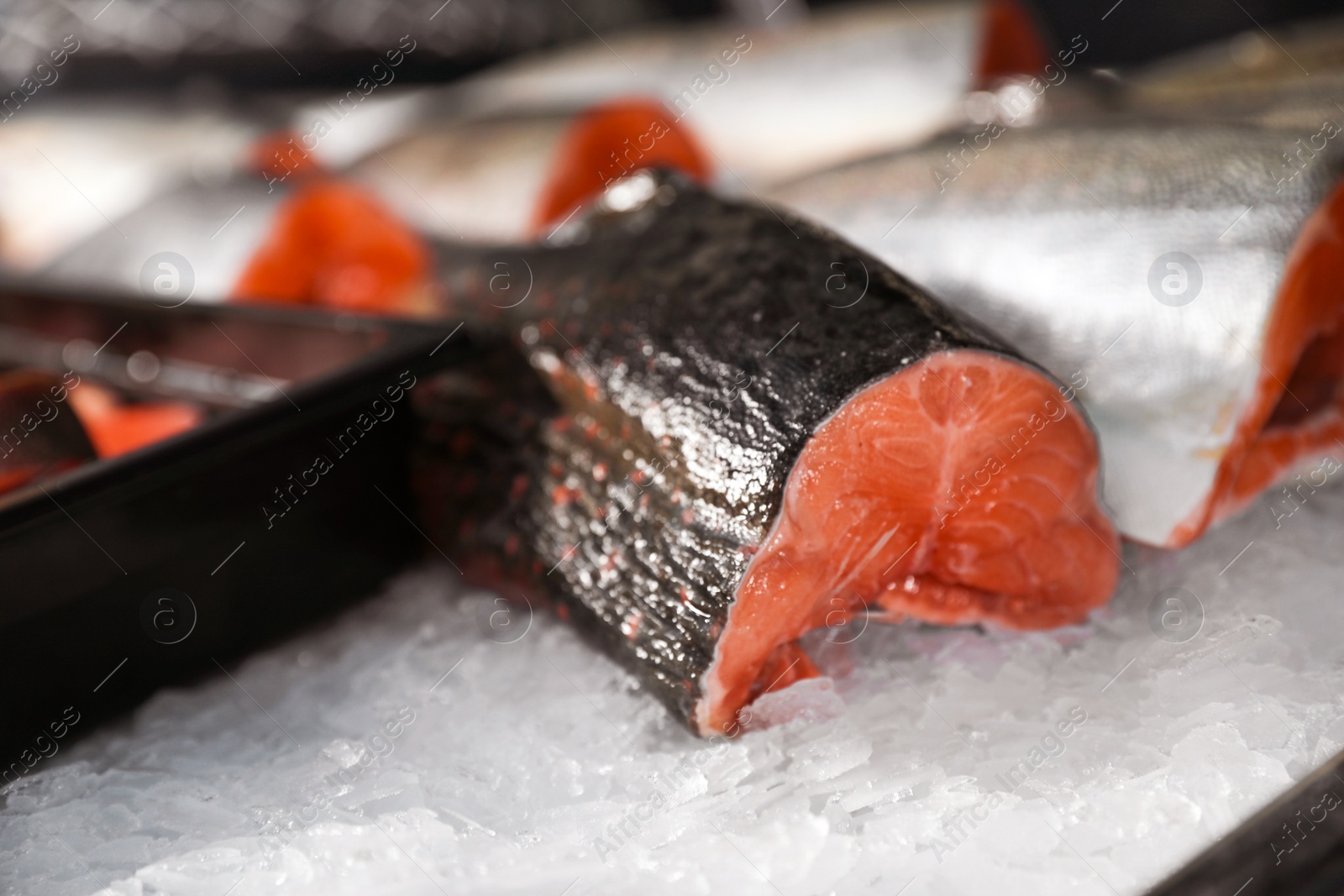 Photo of Fresh fish on ice in supermarket, closeup