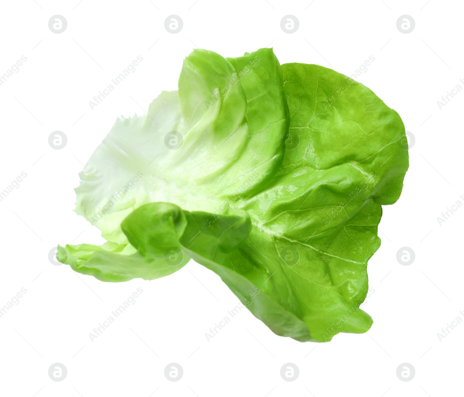 Photo of Fresh leaf of green butter lettuce isolated on white