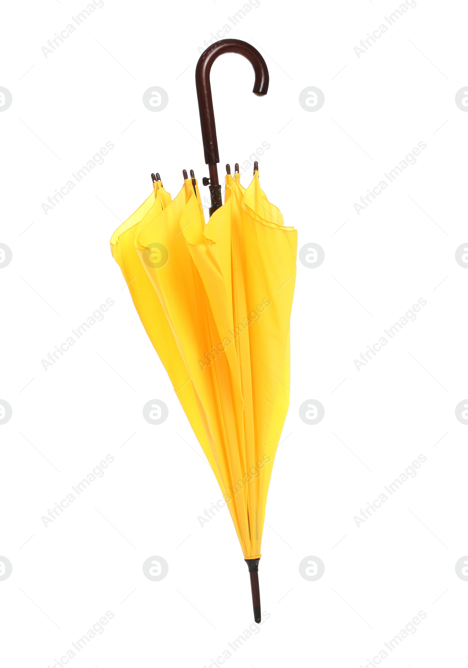 Photo of Beautiful umbrella on white background