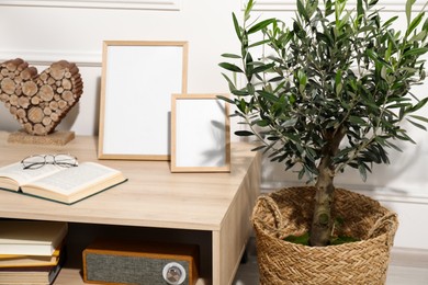 Photo of Beautiful young potted olive tree near table in living room. Interior element