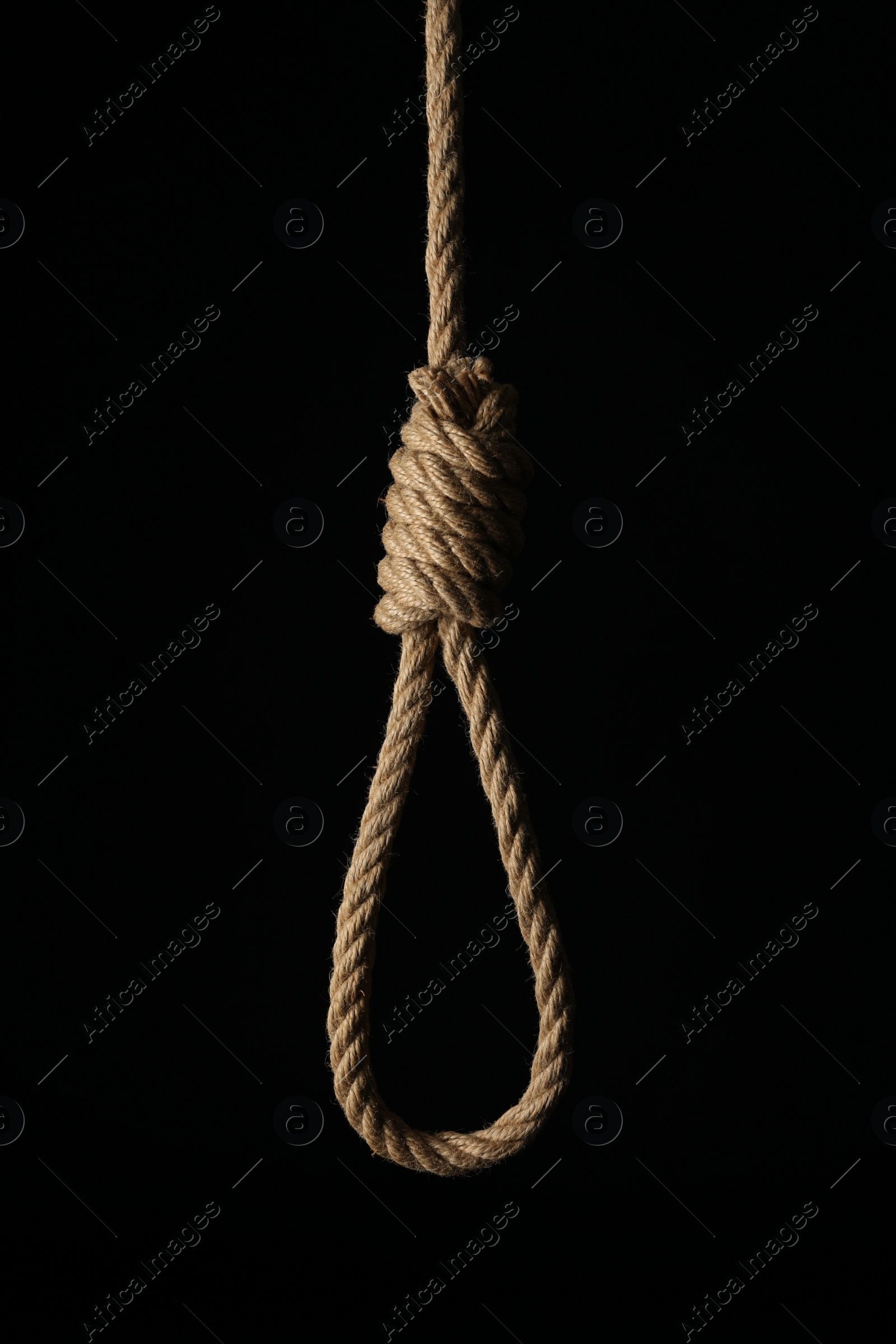 Photo of Rope noose with knot on black background