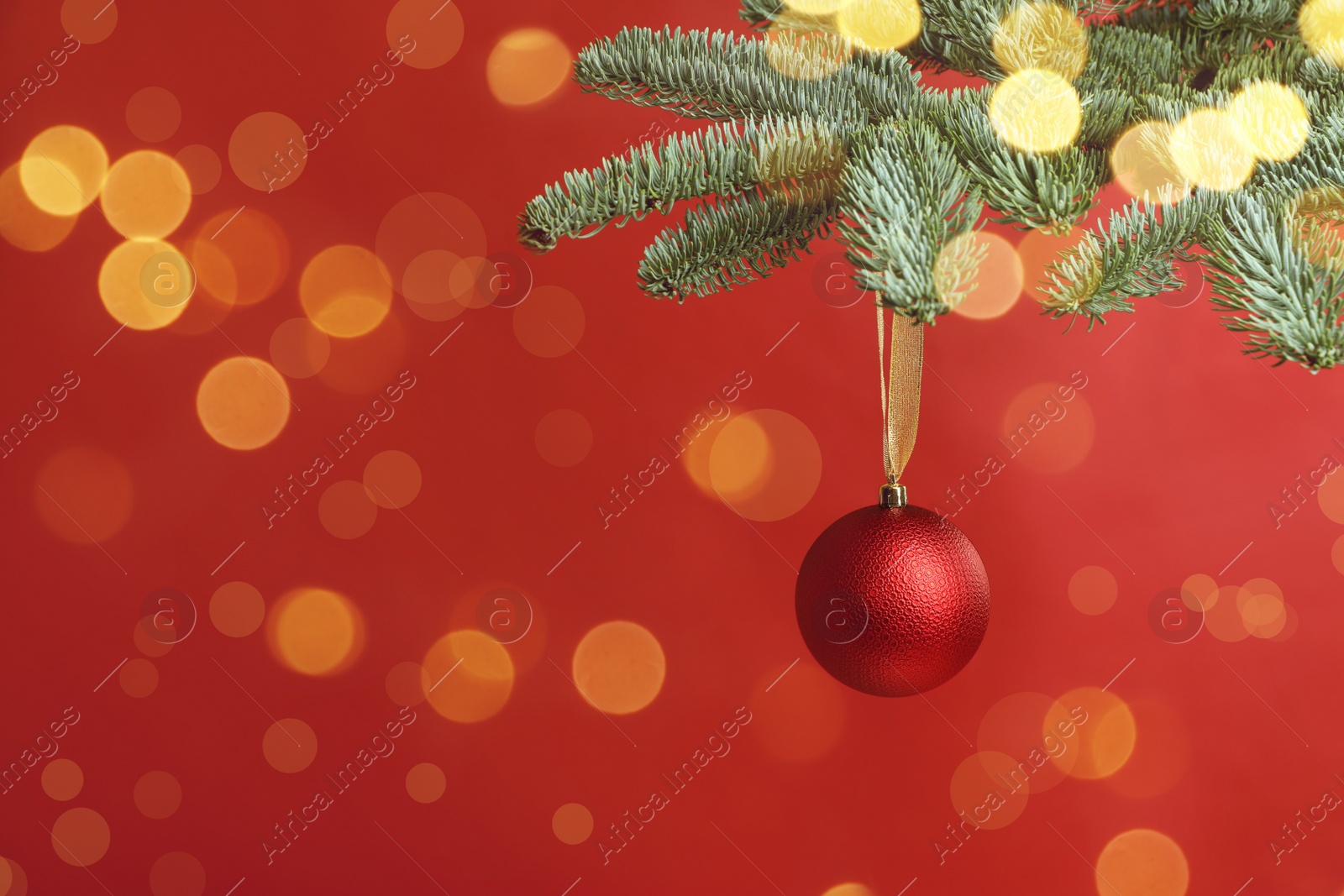 Image of Beautiful Christmas ball hanging on fir tree branch against red background, space for text. Bokeh effect