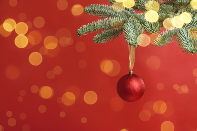 Beautiful Christmas ball hanging on fir tree branch against red background, space for text. Bokeh effect