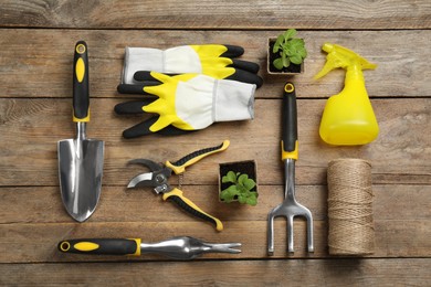 Flat lay composition with gardening tools and green plants on wooden background